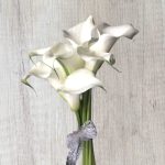 FEHÉR ELEGANCIA – KÁLACSOKOR 7 SZÁL FEHÉR KÁLÁVAL 2